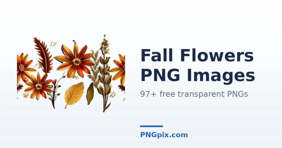 Fall Flowers PNG images