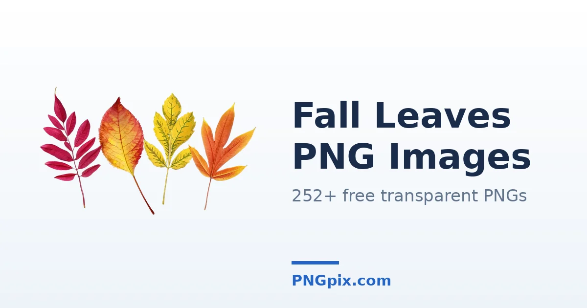 Fall Leaves PNG images
