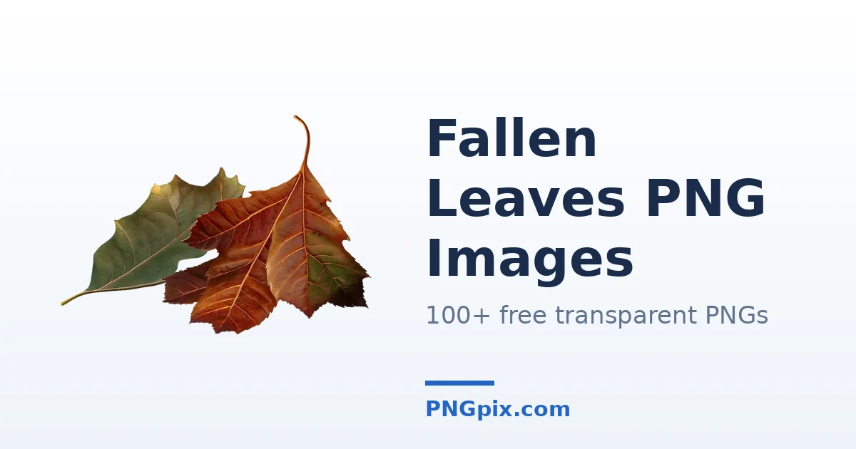Fallen Leaves PNG images