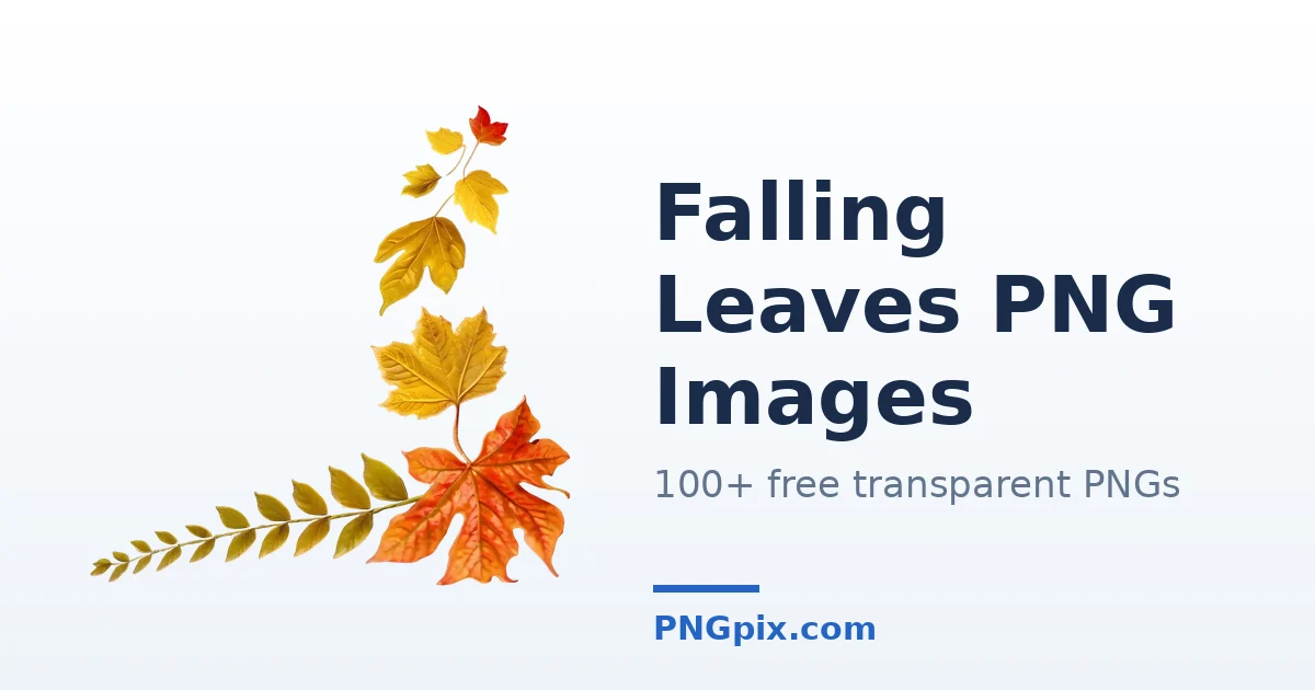 Falling Leaves PNG images