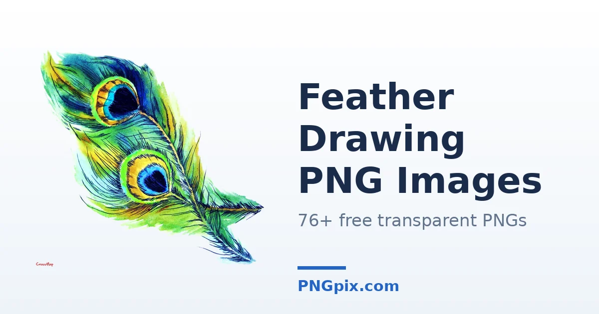 Feather Drawing PNG images