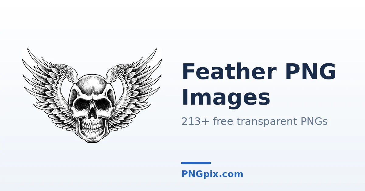 Feather PNG images