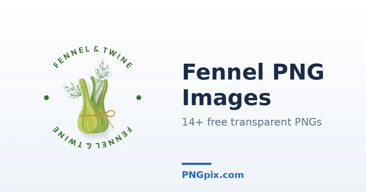 Fennel PNG images