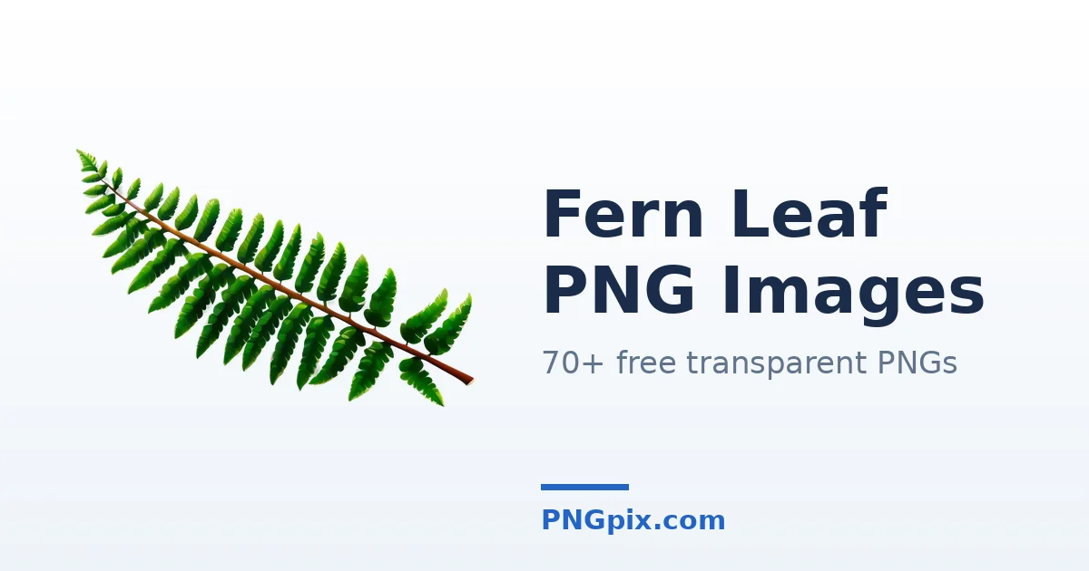Fern Leaf PNG images