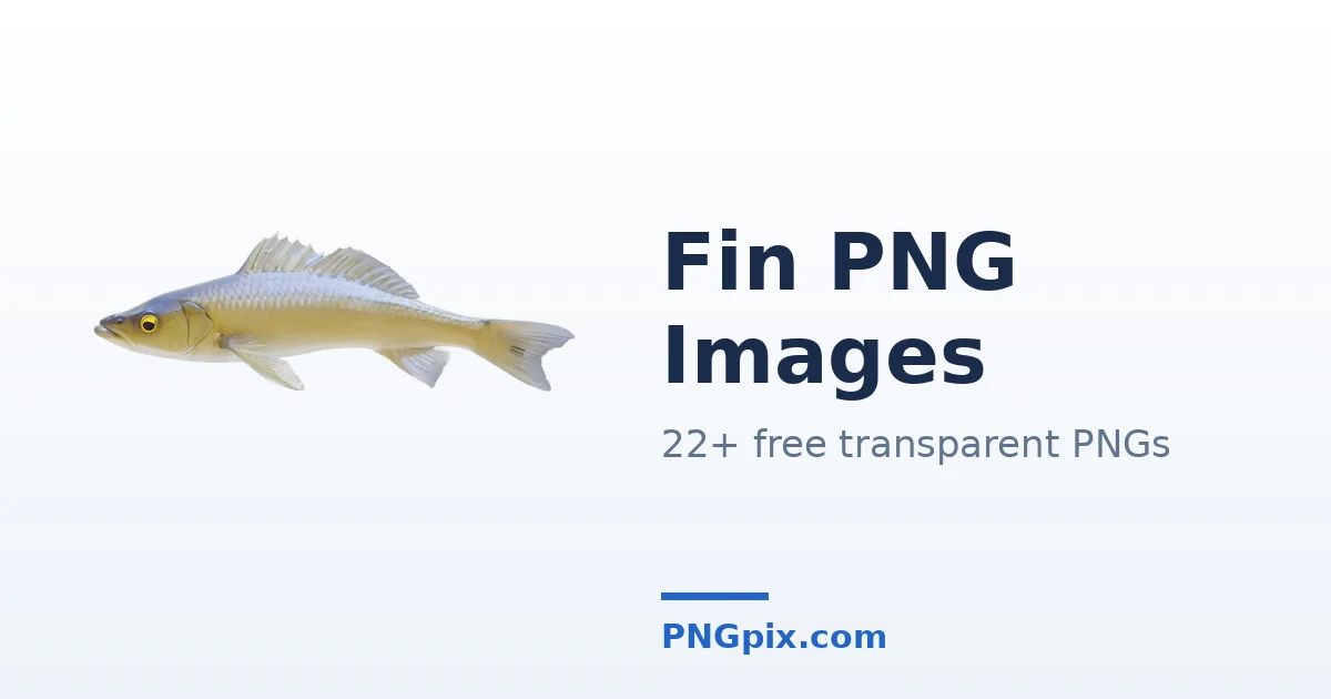 Fin PNG images