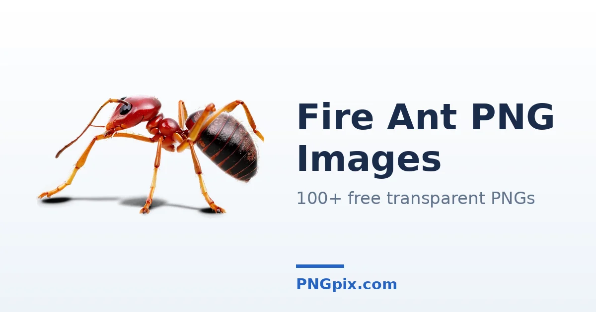 Fire Ant PNG images