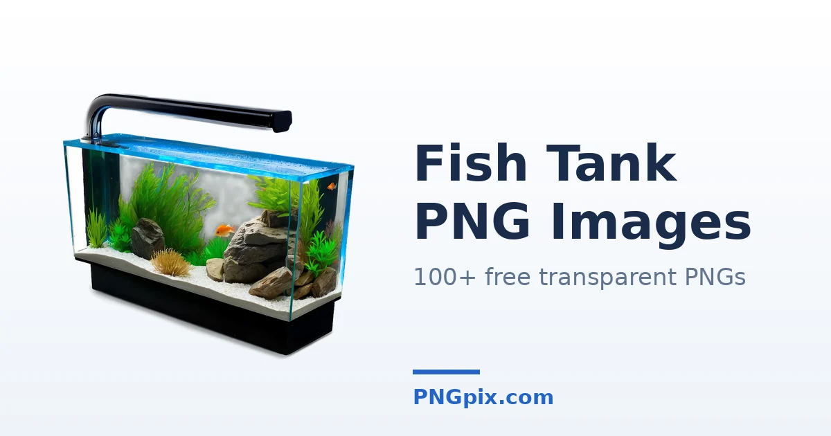 Fish Tank PNG images
