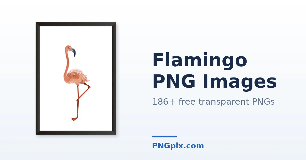 Flamingo PNG images