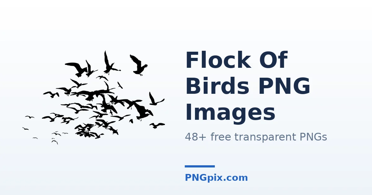 Flock Of Birds PNG images