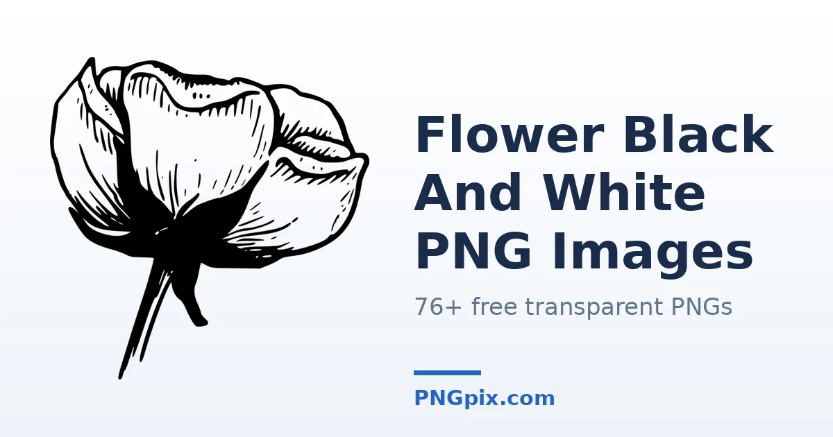 Flower Black And White PNG images