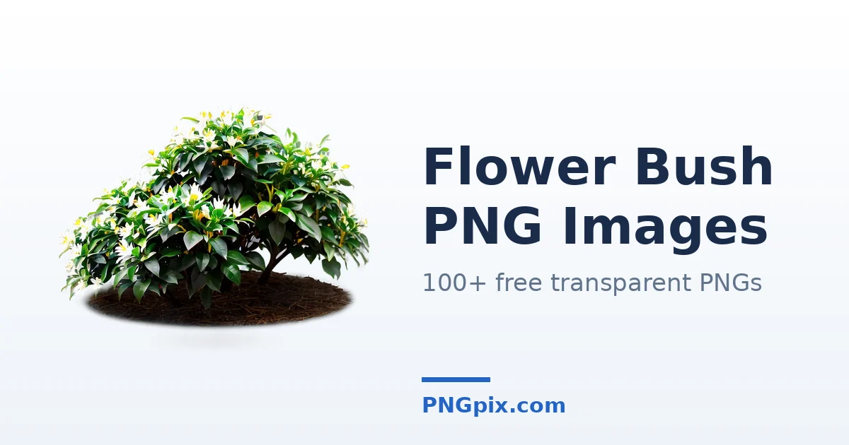 Flower Bush PNG images