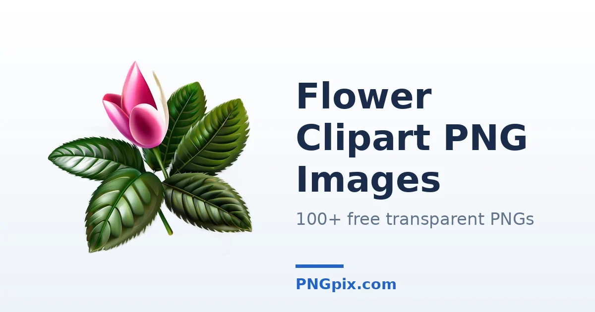 Flower Clipart PNG images