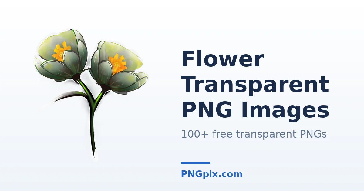 Flower Transparent PNG images