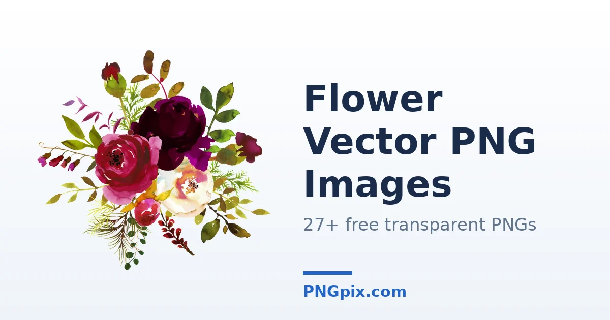 Flower Vector PNG images