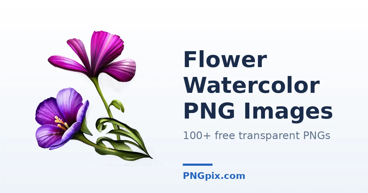 Flower Watercolor PNG images