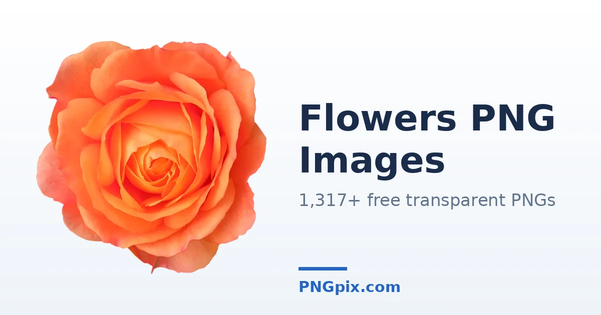 Flowers PNG images