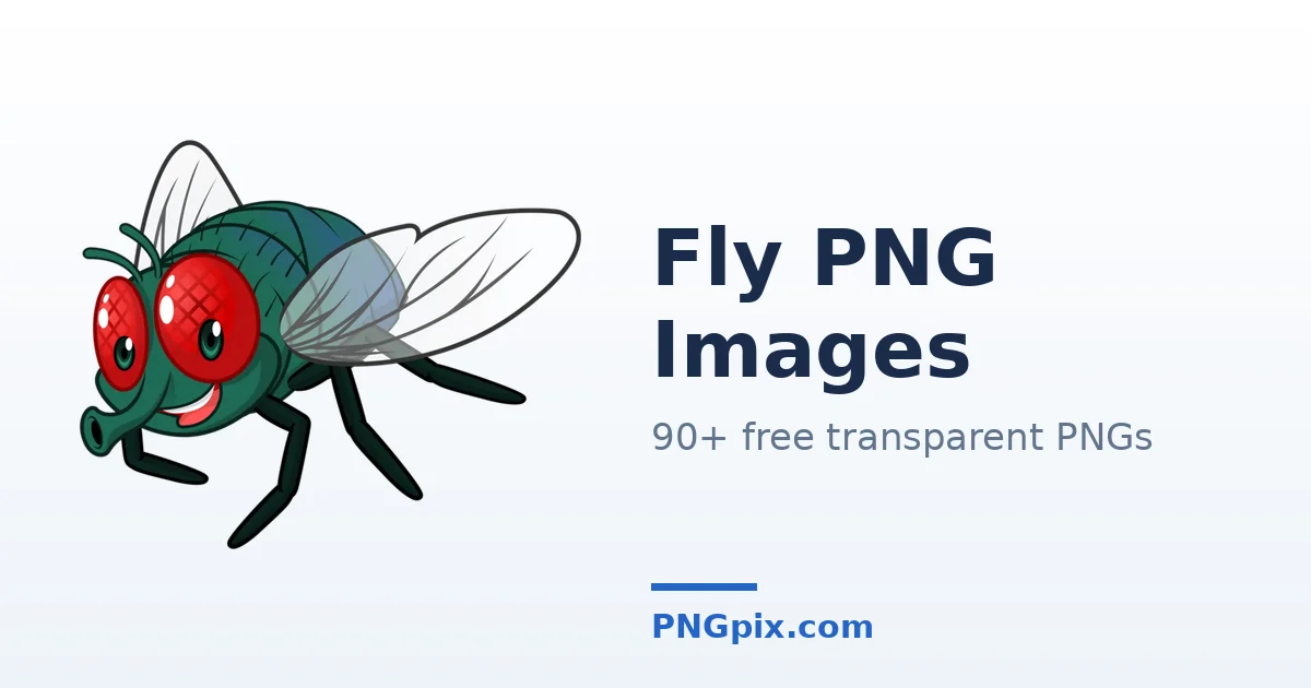 Fly PNG images