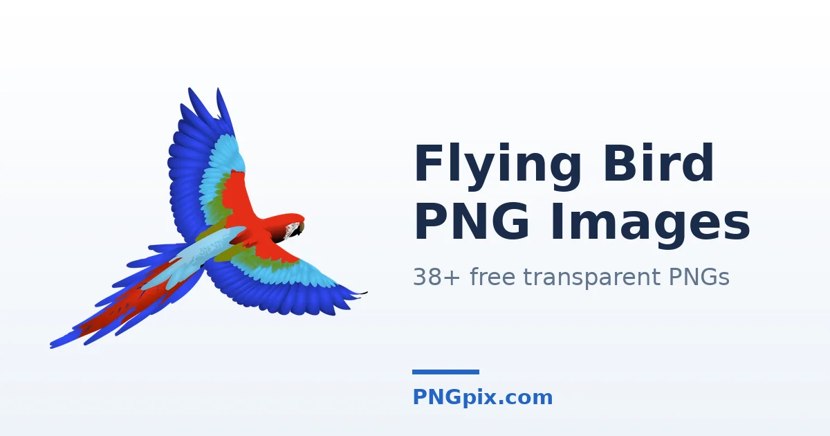 Flying Bird PNG images