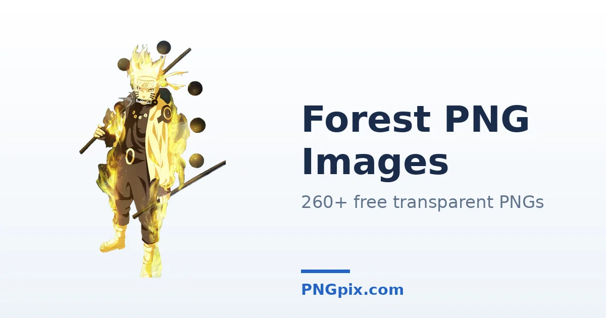 Forest PNG images