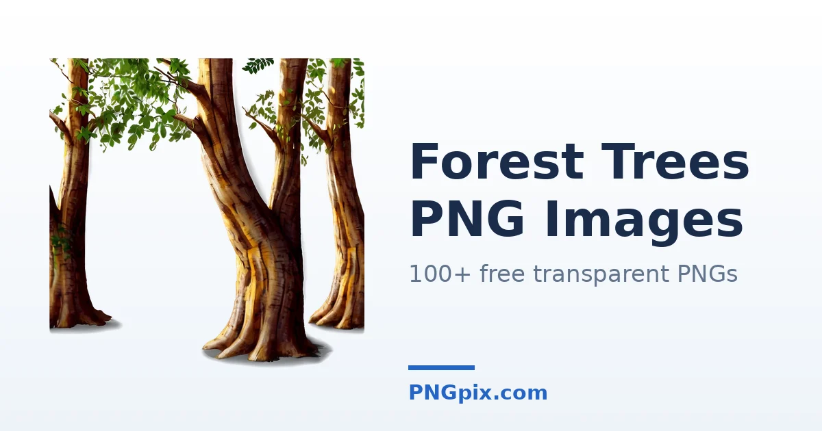 Forest Trees PNG images
