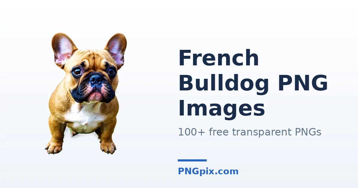 French Bulldog PNG images