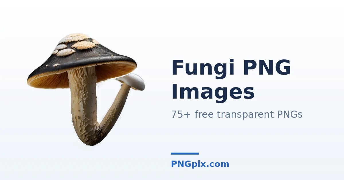 Fungi PNG images