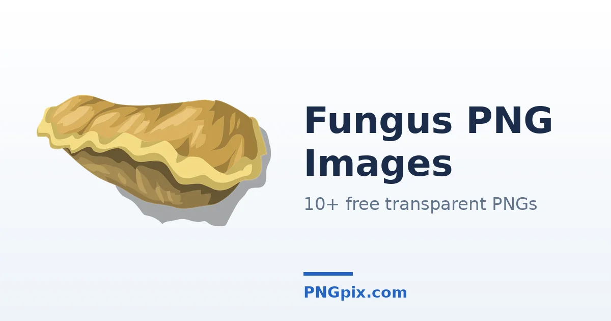 Fungus PNG images