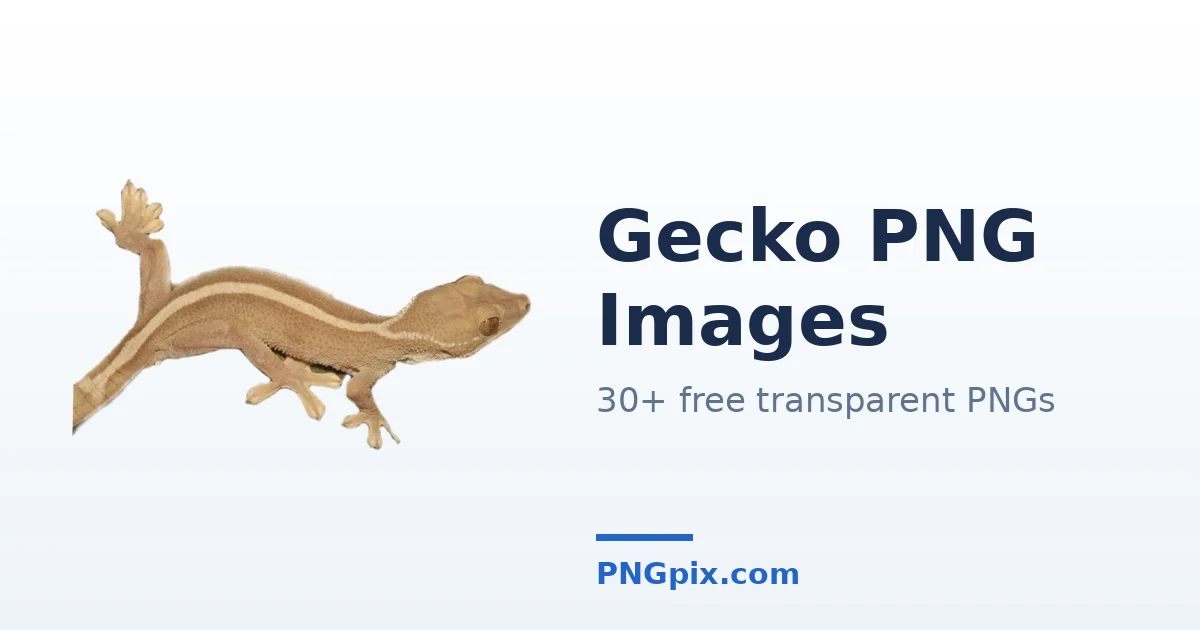 Gecko PNG images