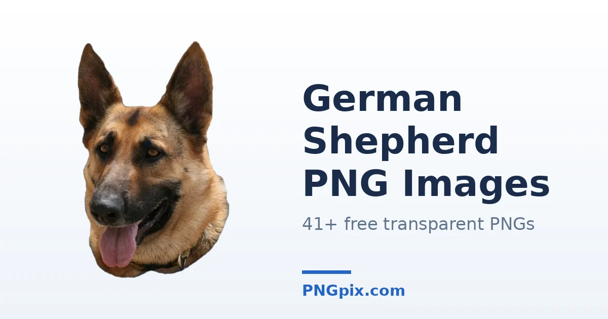 German Shepherd PNG images