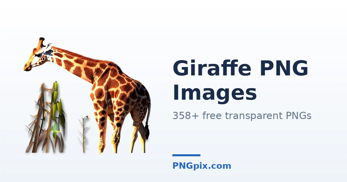 Giraffe PNG images