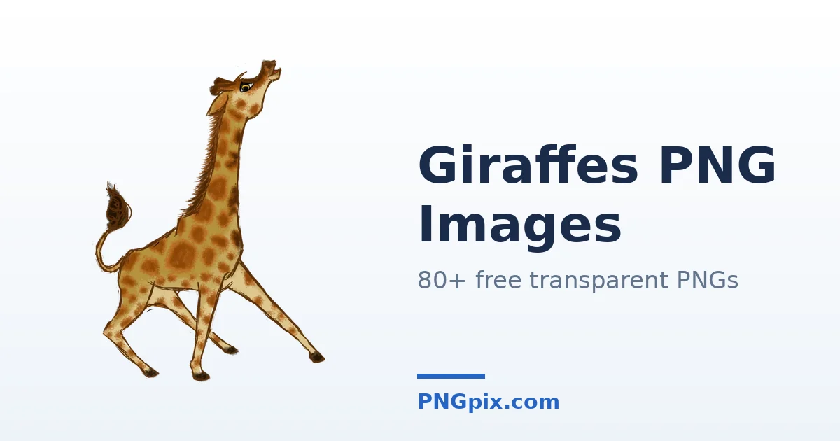 Giraffes PNG images