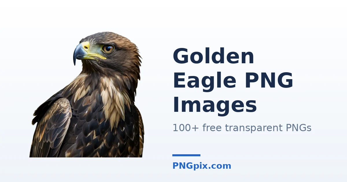 Golden Eagle PNG images