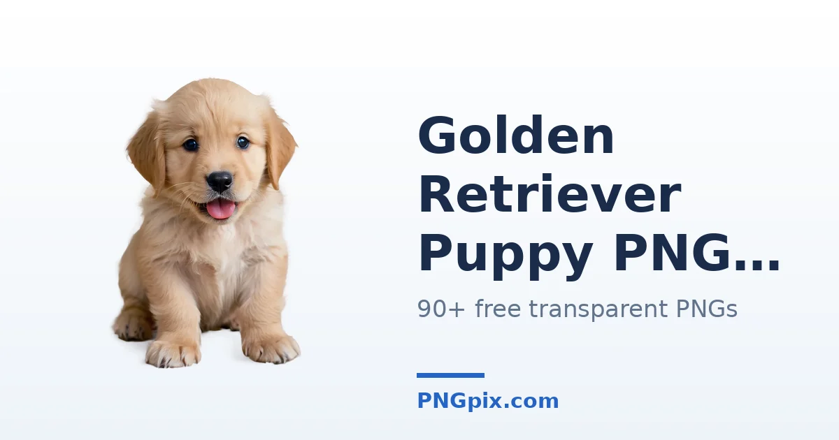 Golden Retriever Puppy PNG images