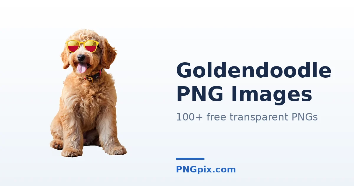 Goldendoodle PNG images