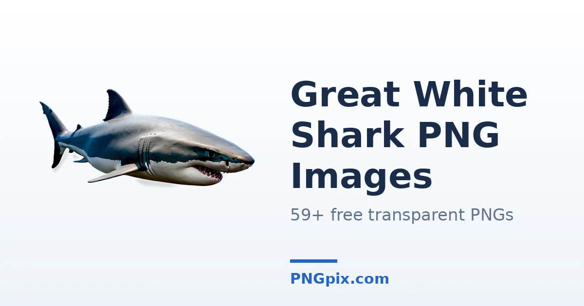 Great White Shark PNG images