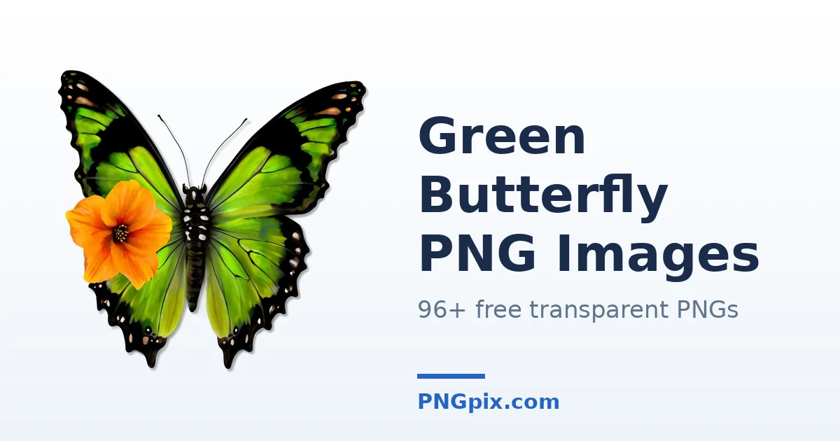 Green Butterfly PNG images