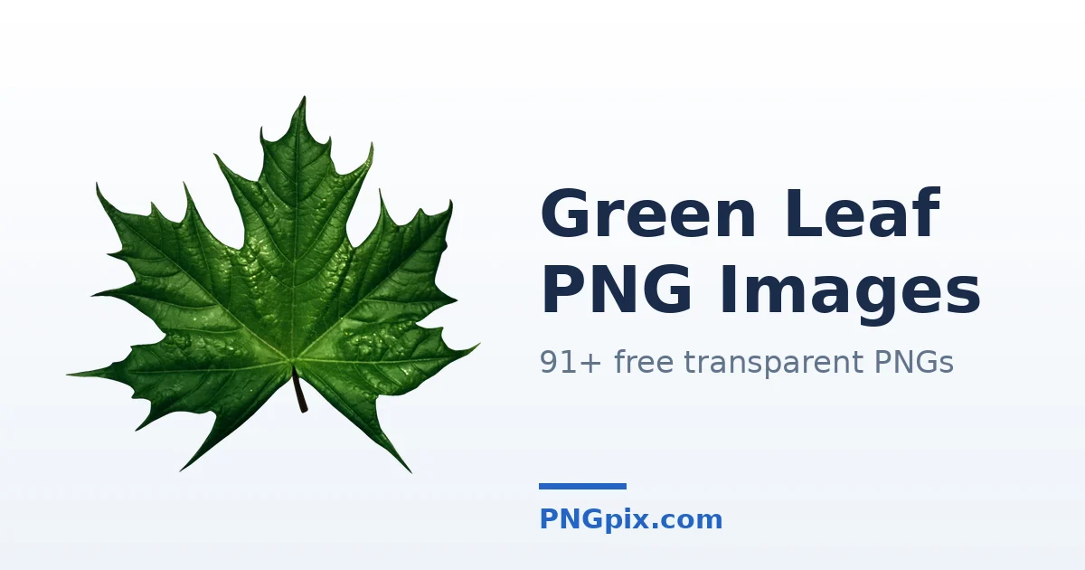 Green Leaf PNG images