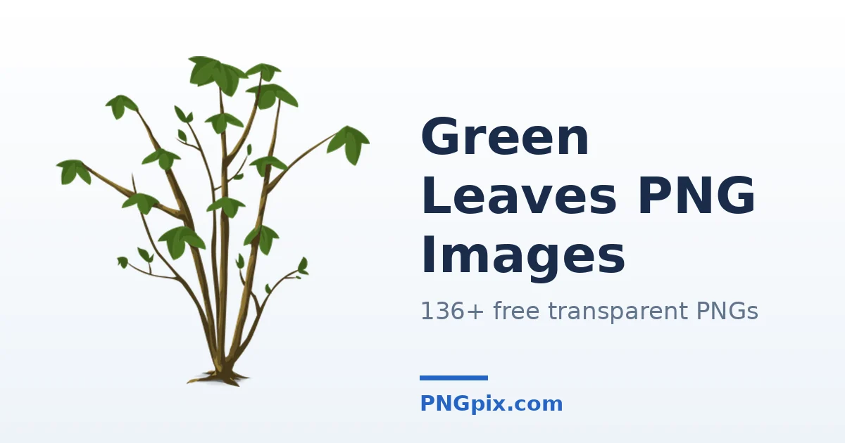 Green Leaves PNG images
