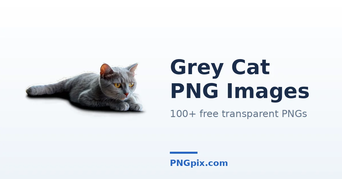 Grey Cat PNG images