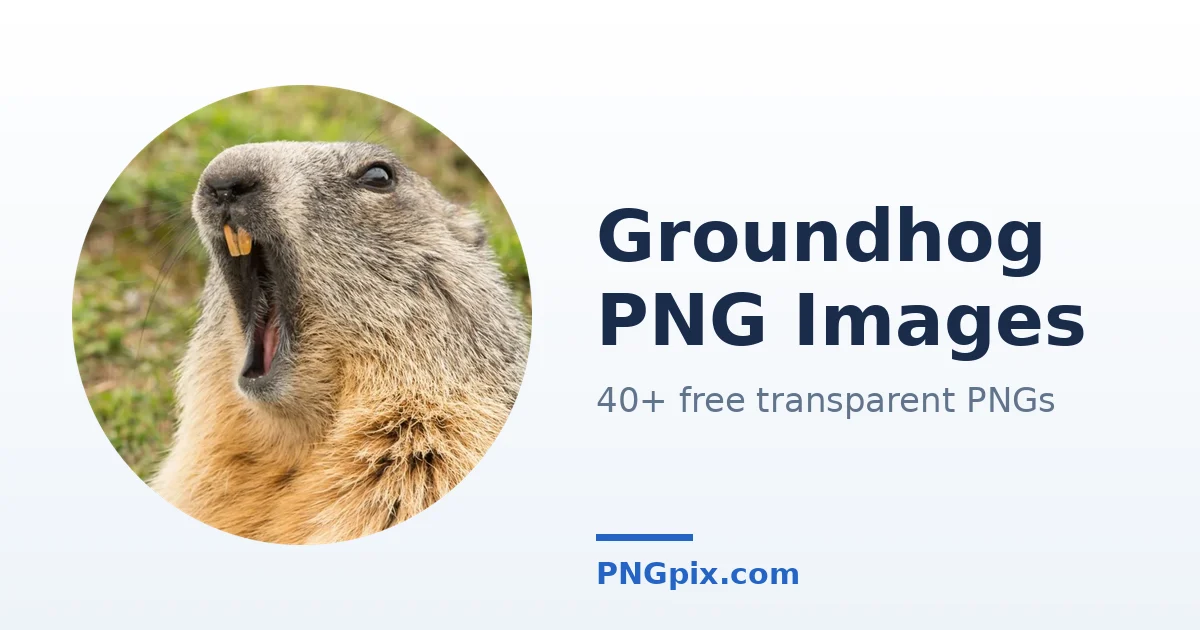 Groundhog PNG images