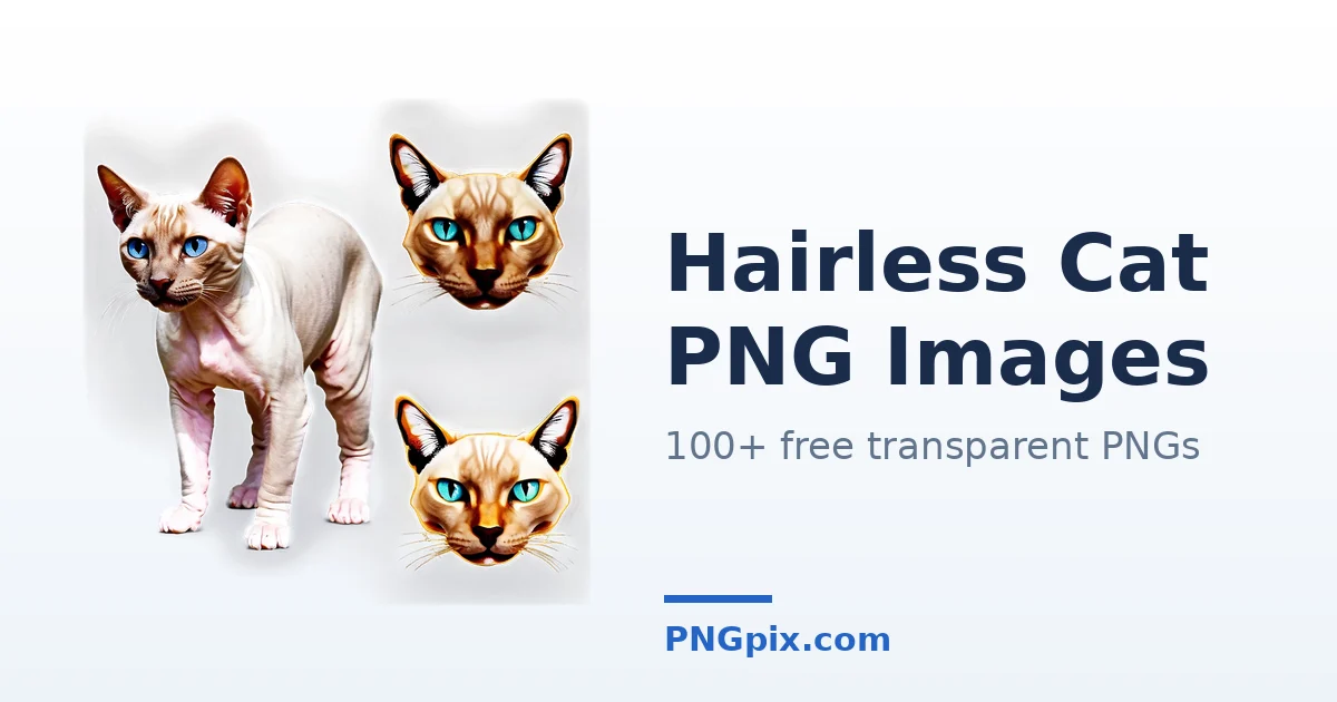 Hairless Cat PNG images