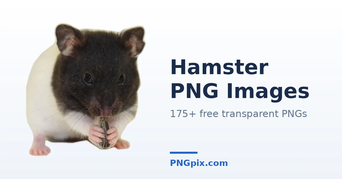 Hamster PNG images