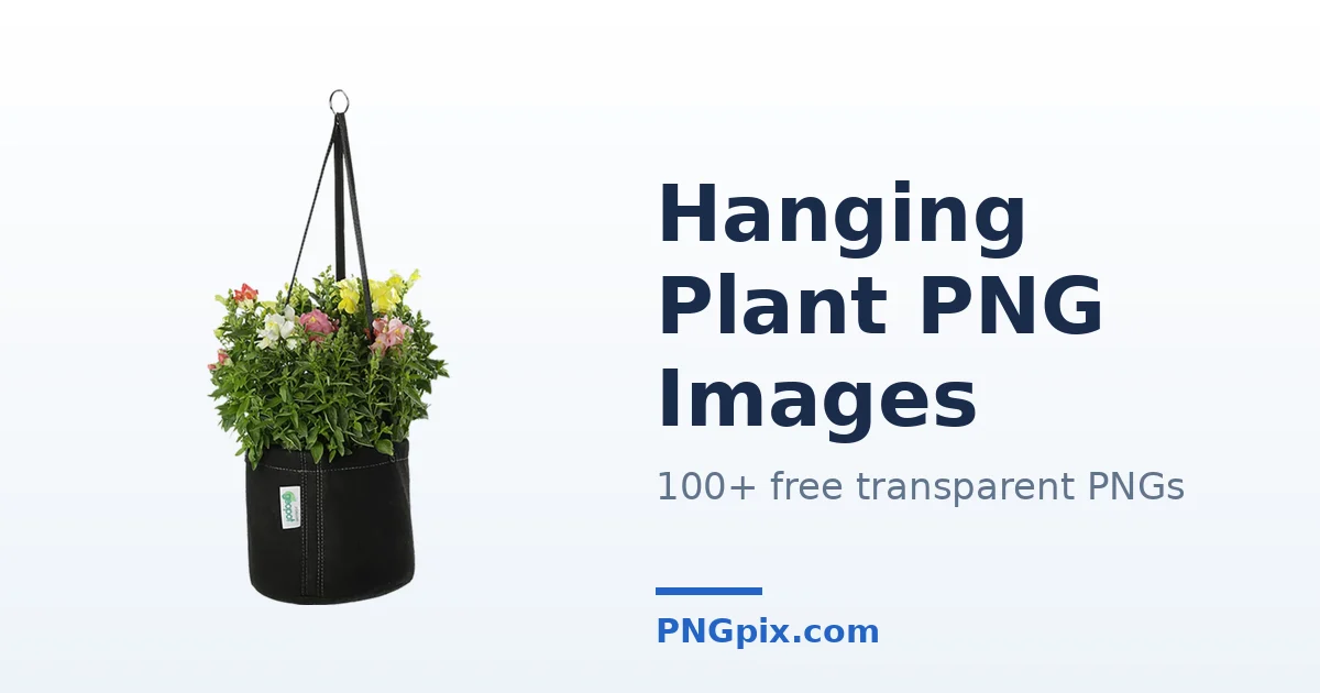 Hanging Plant PNG images