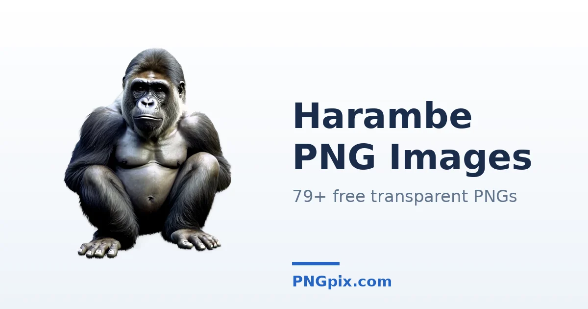 Harambe PNG images