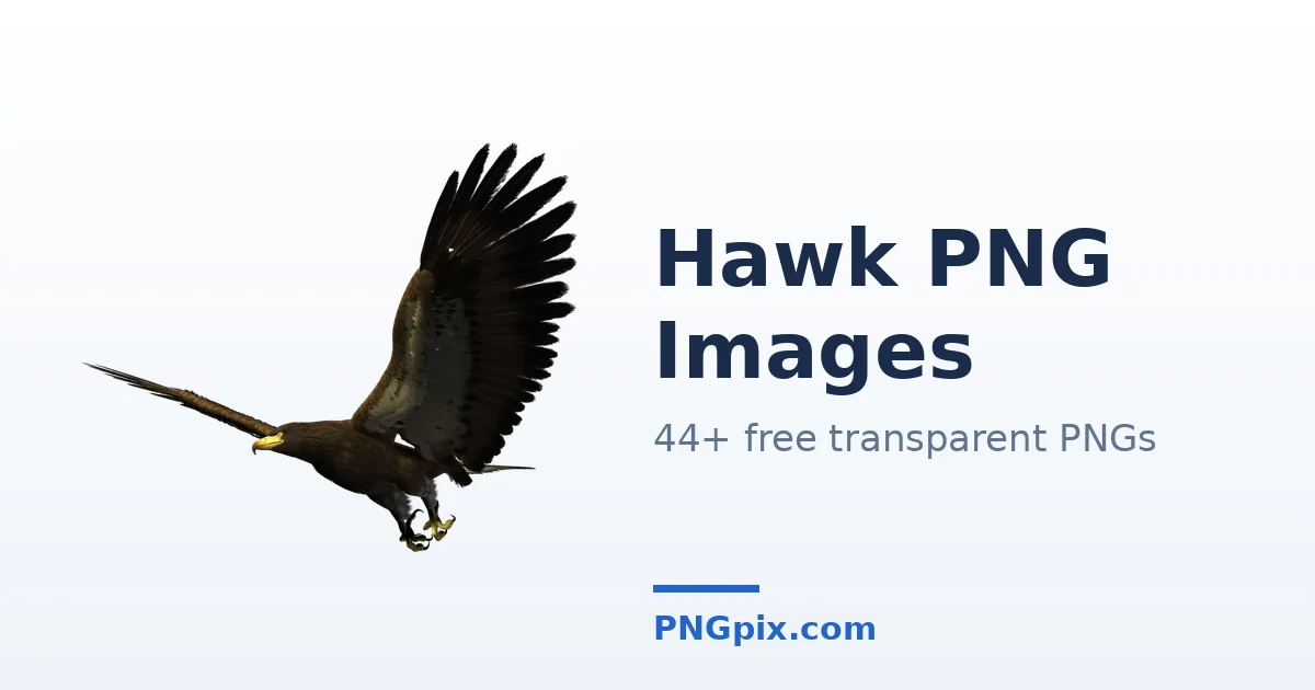 Hawk PNG images