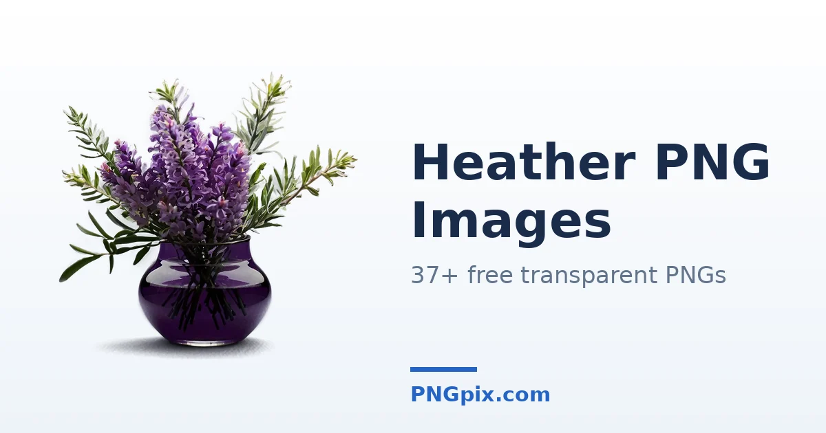 Heather PNG images