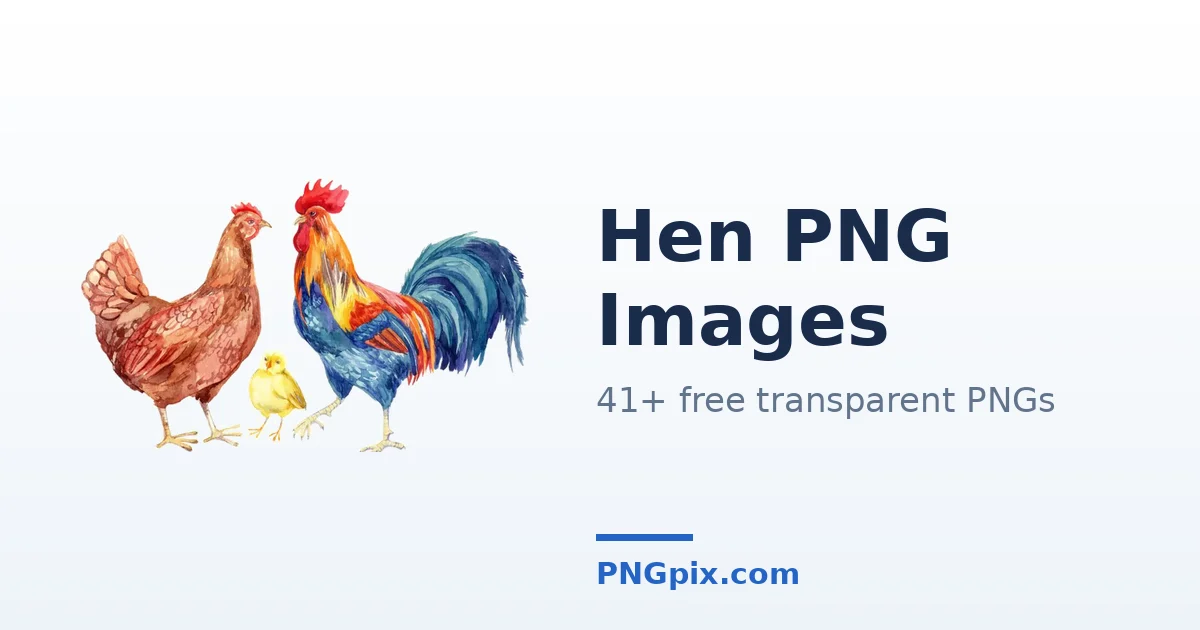 Hen PNG images