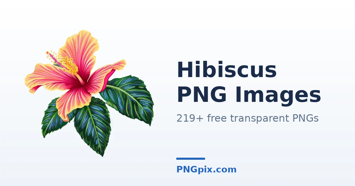 Hibiscus PNG images
