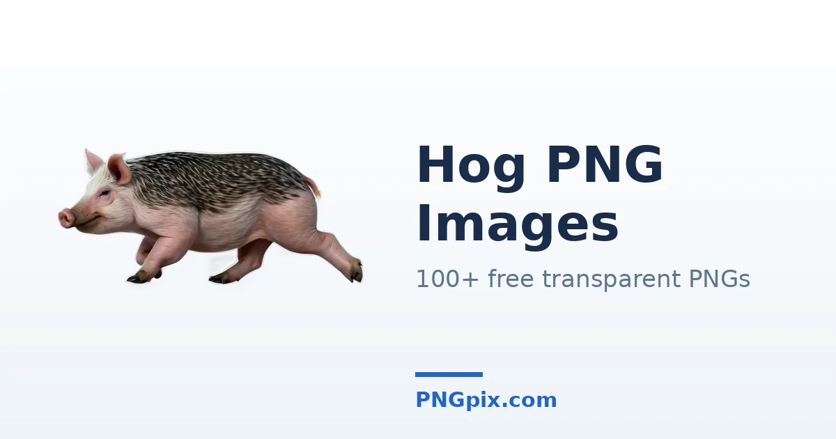 Hog PNG images