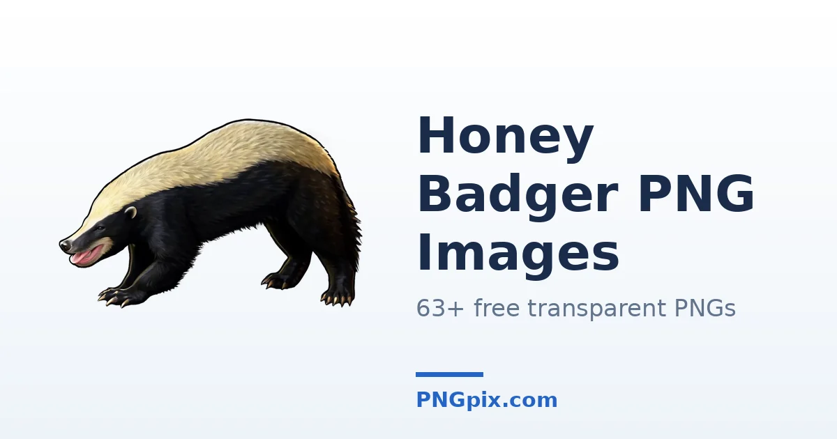Honey Badger PNG images